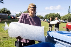 NAPILI NOHO OHANA