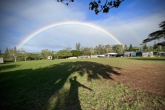 NAPILI NOHO OHANA