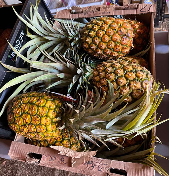 Maui Grown Pineapples